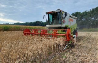 Onderzoek: overgang naar plantaardiger dieet schiet niet op