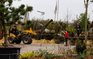 Rassenlijst Bomen uitgebreid met nieuwe opstanden en zaadgaarden