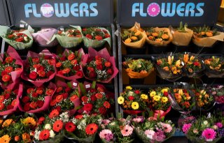 Exportgroei sierteelt volledig te danken aan snijbloemen