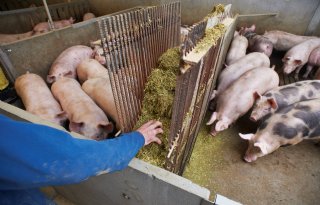 Onafhankelijkheid BLK Fair Prijs positief