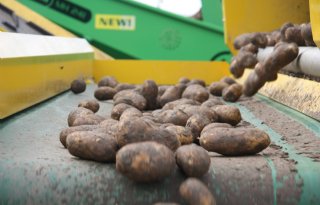 Aardappelverwerkers gezamenlijk aan de slag met verduurzaming