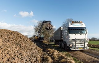 Veel aanmeldingen voor vorstschaderegeling Cosun