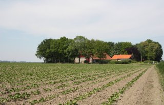 NAJK en LTO zien beweging in pachtdossier na reactie Rummenie op hervormingsvoorstellen