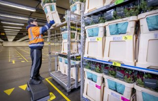 FloraHolland lanceert cyberabonnement voor handelsrelaties