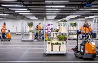 Stijgende kosten nopen FloraHolland tot afscheid Flower Handling Services