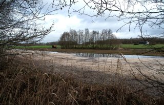 ZLTO: natuurdoelanalyse Noord-Brabant rammelt