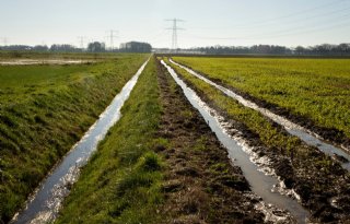 BBB-bestuurder Vechtstromen moet weg na motie van wantrouwen