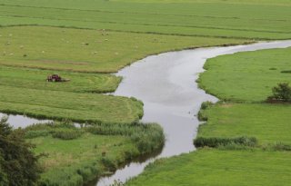 Kritiek op plan opkopen landbouwgrond Noord-Holland