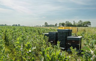 Groninger experiment met regeneratief