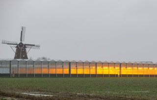 Land- en tuinbouwbedrijven flink groter geworden sinds 1980