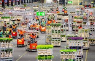 Fors hogere omzet voor FloraHolland in april