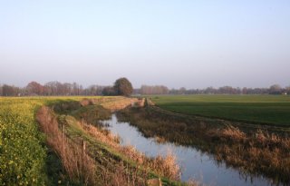 'Samenwerking akkerbouwer en veehouder is nog geen Haarlemmerolie'