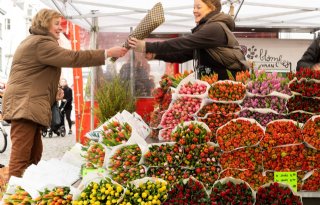 Hogere prijs levert FloraHolland meer omzet op