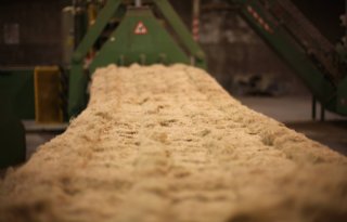 Bouwgigant start proef met biobased materialen van vezelhennep