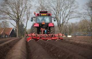 'Contractprijzen aardappelen moeten 10 procent omhoog'