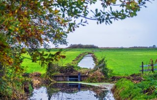 Onttrekkingsverbod voor boeren bij Leeuwarden dreigt door PFOS