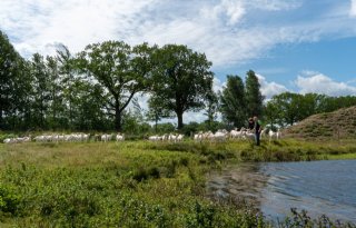 Oproep ZLTO Hart van Brabant: 'Haal harde begrenzing Oostflank eraf'