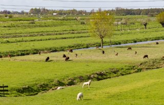 Provincie Zuid-Holland wil meer zekerheid over PPLG