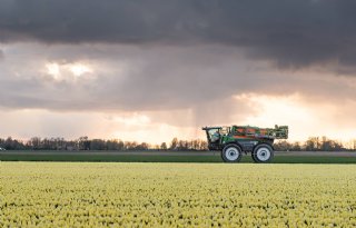 Bloembollenteelt onder vuur, snelle verduurzaming is nodig