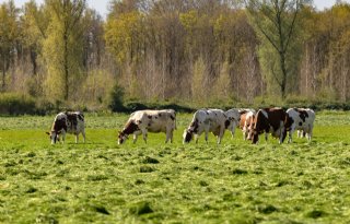 Brussel akkoord met verplaatsingsregeling van Van der Wal