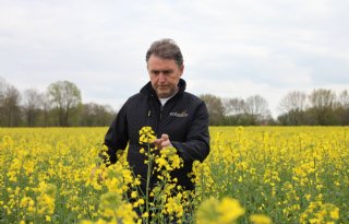 Colzaco wil gehele koolzaadplant volledig verwaarden