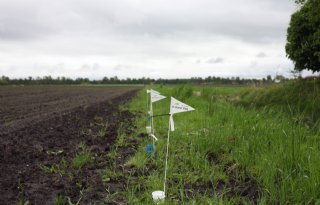 De Groot en Slot neemt belang van 35 procent in De Groene Vlieg Bio Control