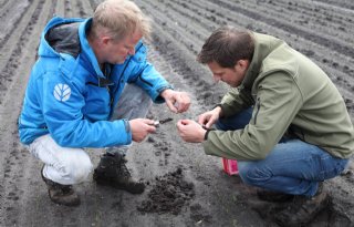 'Monitoring basis voor juiste keuzes in insectenbestrijding uien'