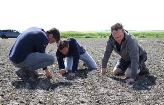 Talentoogst houdt vanaf januari cursussen op boerenerf