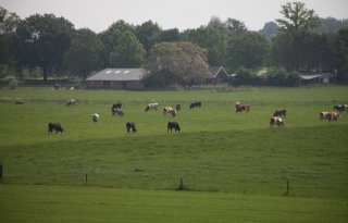 Gelderse boeren die kennis en ervaring delen, worden beloond