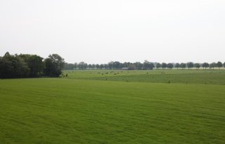 Boeren Achterhoek scoren met meer organische stof