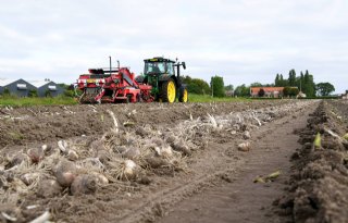 Milieudoelen bollenteelt halen met regioaanpak