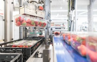 Elf producentenorganisaties voor groenten en fruit krijgen EU-steun