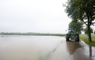 Peiling: Wat doet de vele regen met de agrarische productie?