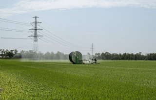 Beschikbaarheid zoetwater Waddenregio raakt in het gedrang