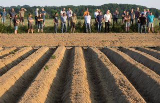 BO Akkerbouw vraagt om ideeën voor nieuw onderzoek