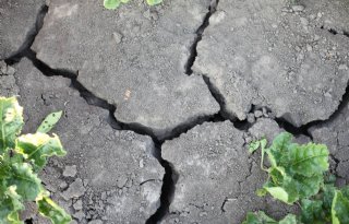 Aanpak droogte Achterhoek en Liemers is niet zo simpel