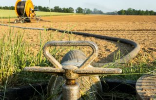 Oplossing voor verbod op waterbronnen bij Flevolandse boeren nog niet in zicht