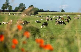 Vermeende fraude met grond vroeg actieve houding van ministerie