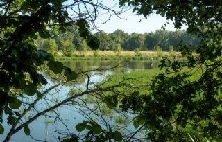 Raad van State ontvangt boeren die correcties Natura 2000-gebieden aanvechten