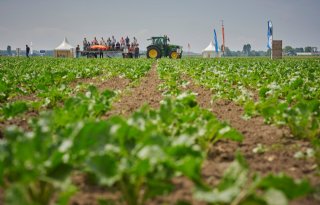 Landbouwcoöperaties CZAV en CAV onderzoeken fusie