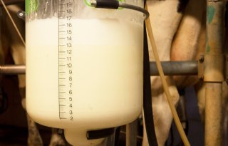 Fonterra schat zuivelmarkt nu stuk positiever in