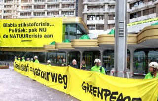 Rechter laat Stikstofclaim toe in stikstofzaak Greenpeace