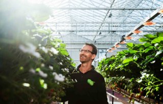 Kweker Van der Avoird wint prijs met warmte-koudeopslag