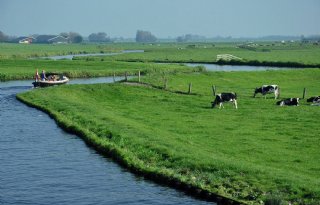 61 miljoen euro voor Zuid-Hollandse natuur