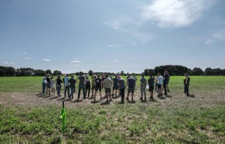 Nieuwe landbouwsubsidie Utrecht mikt op demonstratiebedrijven