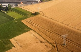 Prijzen landbouwgrond flink gestegen in eerste helft 2023