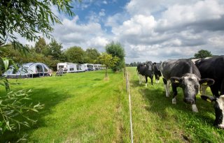 'Recreatievisie West-Friesland moet ruimte houden voor landbouw'