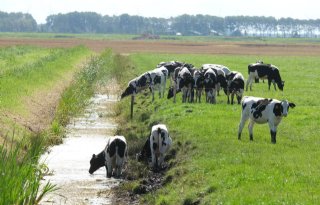 Waterschappen staan intekenen maaipaden voor GLB niet meer toe