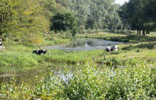 CATB Wierden vindt financiering voor agrarisch natuurbeheer