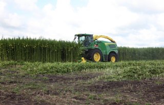 52 miljoen euro nodig voor biobased teelt